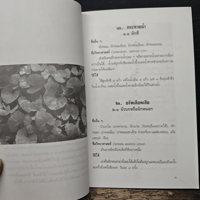 สมุนไพรบำบัด