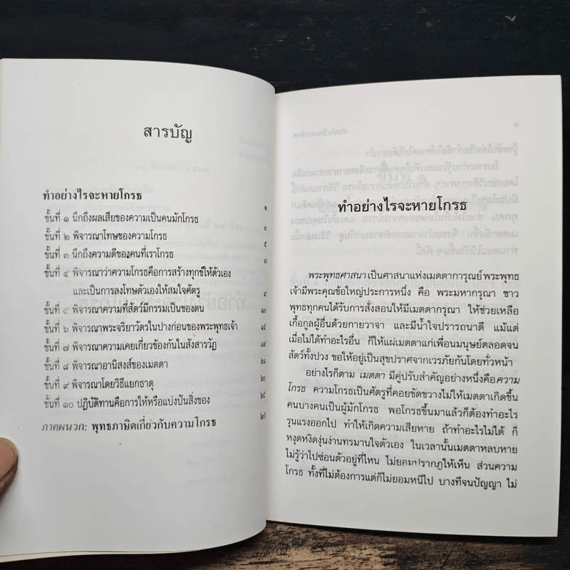 ทำอย่างไรจะหายโกรธ - พระพรหมคุณาภรณ์ (ป.อ.ปยุตฺโต)