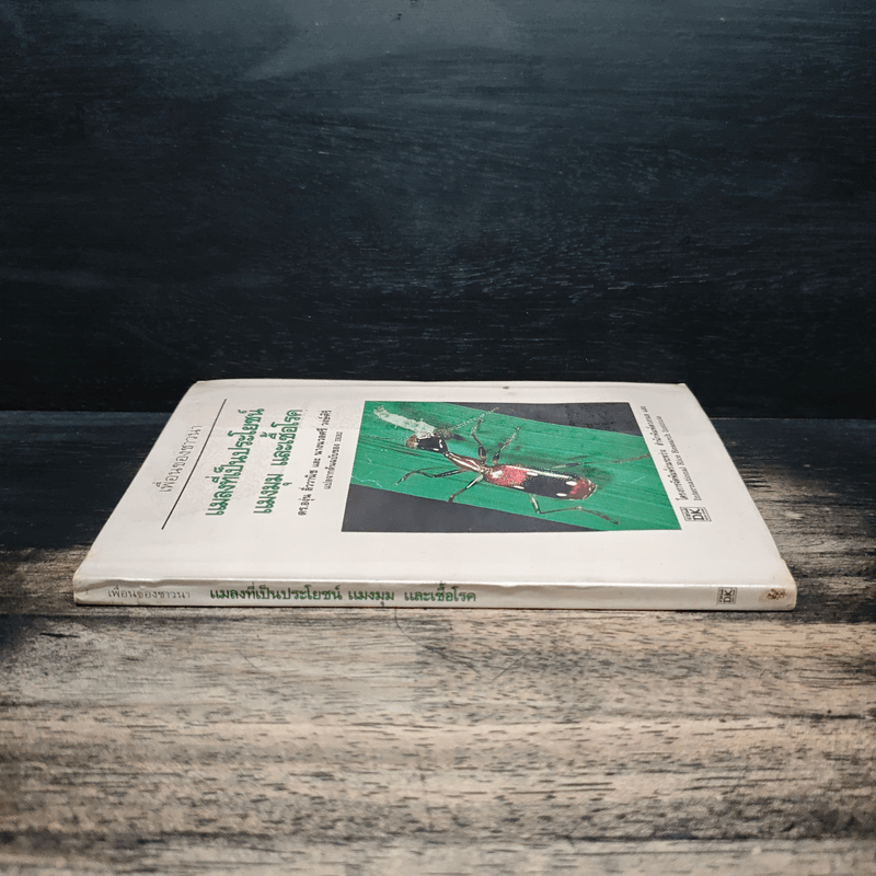 แมลงที่เป็นประโยชน์ แมงมุม และเชื้อโรค - ดร.องุ่น ลิ่ววานิช