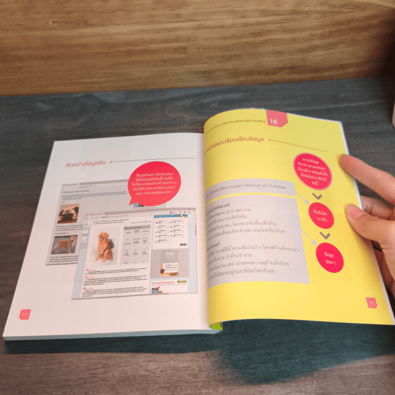 Infographic Design ฉบับ Quick Start + Easy Workshop + Make Money - ธัญธัช นันท์ชนก