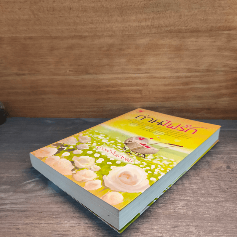 ถ่านไฟรัก - นางฟ้าในสายลม