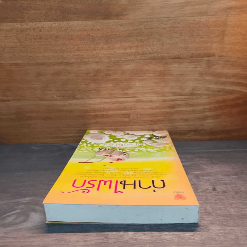 ถ่านไฟรัก - นางฟ้าในสายลม