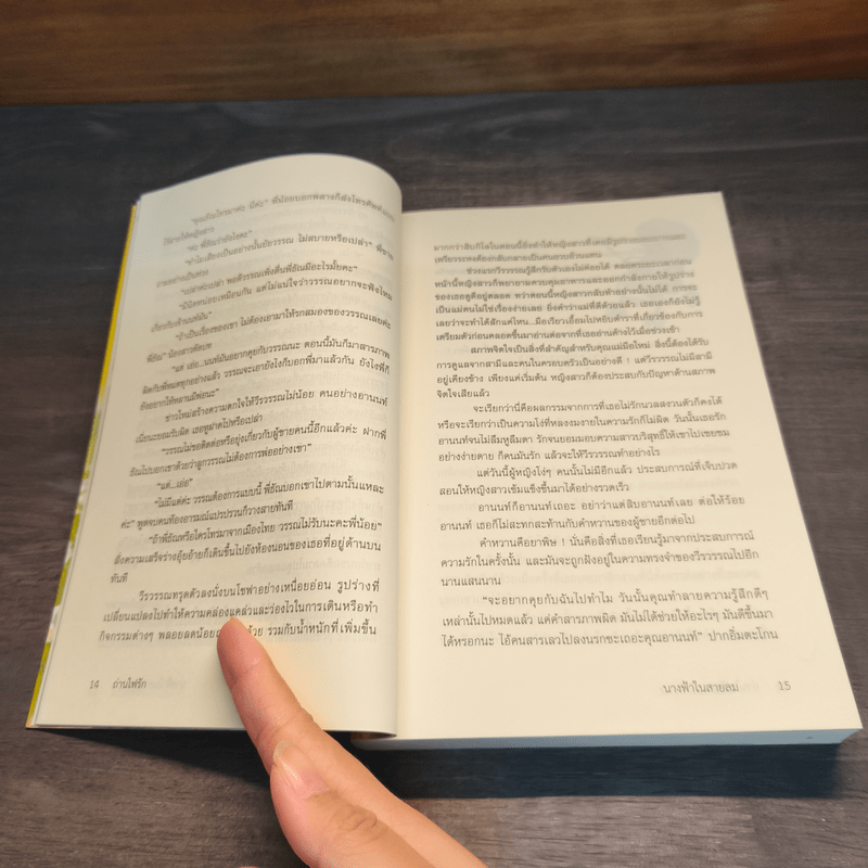 ถ่านไฟรัก - นางฟ้าในสายลม