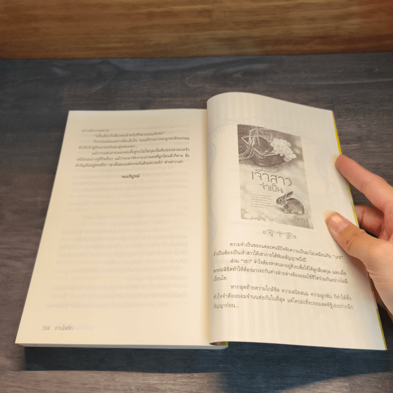 ถ่านไฟรัก - นางฟ้าในสายลม