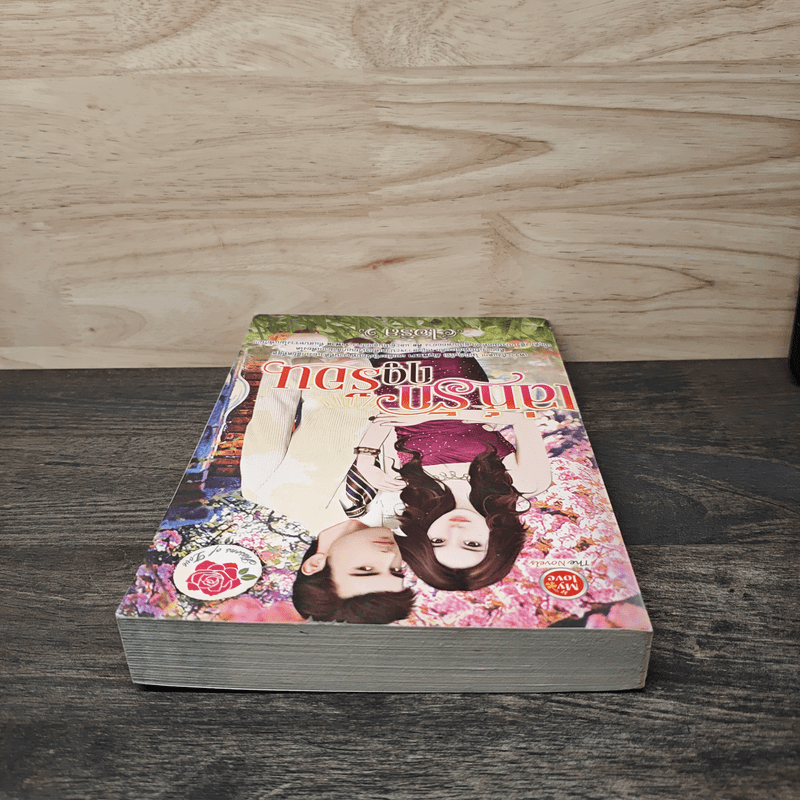 เล่ห์รักฤดูร้อน - ไอริส