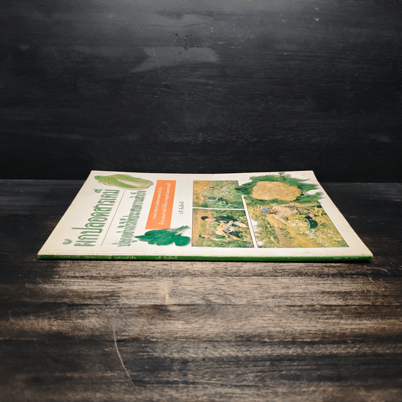 ผักปลอดสารเคมี ปลูกอย่างไรให้ประสบความสำเร็จ - วารี ยินดีชาติ