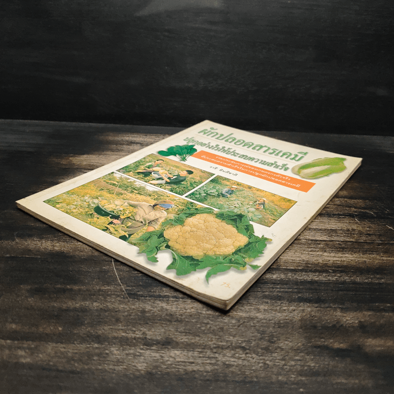 ผักปลอดสารเคมี ปลูกอย่างไรให้ประสบความสำเร็จ - วารี ยินดีชาติ