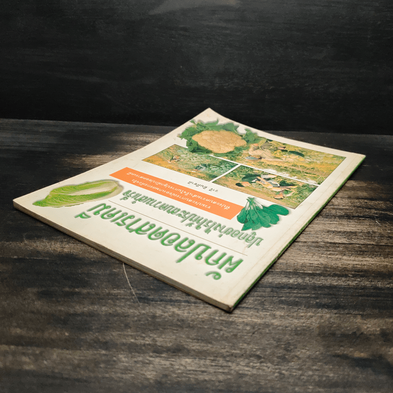 ผักปลอดสารเคมี ปลูกอย่างไรให้ประสบความสำเร็จ - วารี ยินดีชาติ