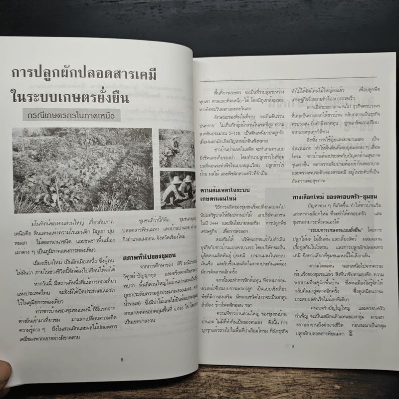 ผักปลอดสารเคมี ปลูกอย่างไรให้ประสบความสำเร็จ - วารี ยินดีชาติ