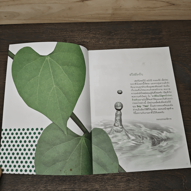 ทาสีย้อมไม้สูตรน้ำง่ายๆ ด้วยตัวเอง