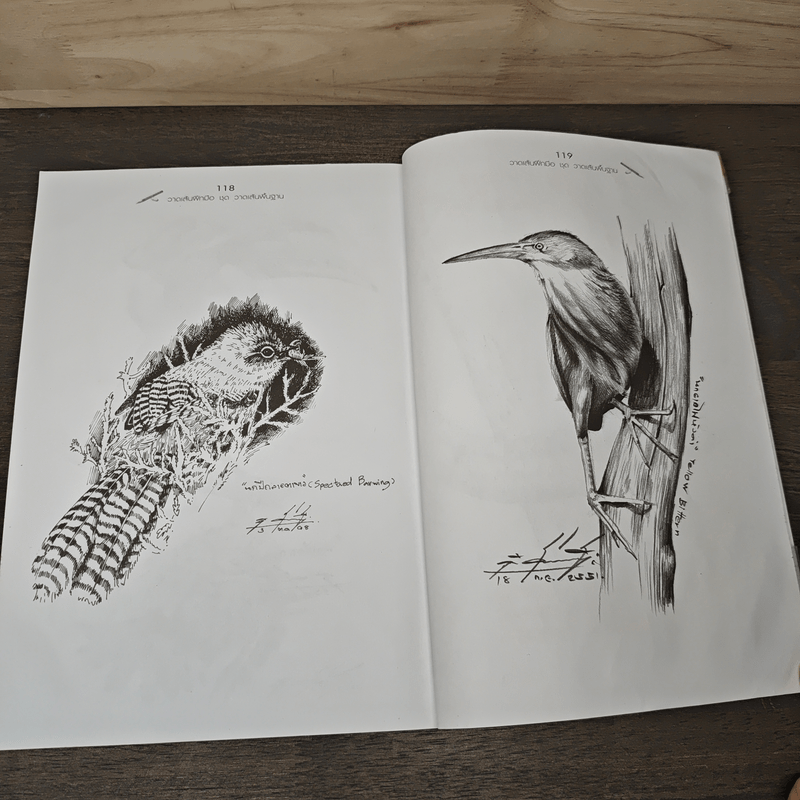 วาดเส้นฝึกมือ ชุด วาดเส้นพื้นฐาน - อ.ธานี สังข์เอี้ยว