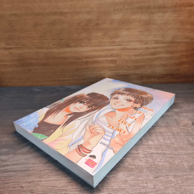 Sky High ติดปีกหัวใจให้รักเหินฟ้า - มิลค์พลัส