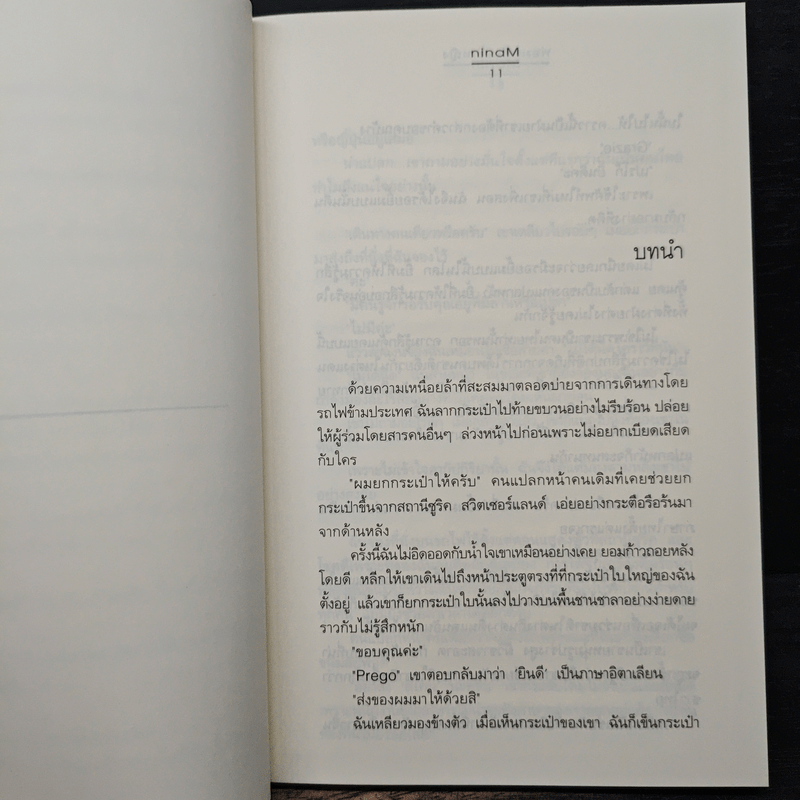 พ่อมดกับเจ้าหญิง - ninaM