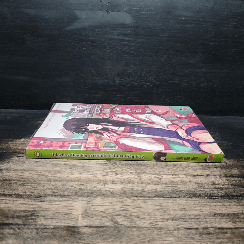 Playboy Hunting ภารกิจลับกำจัดนายตัวแสบ เล่ม 2 - หนุ่มกรุงโซล