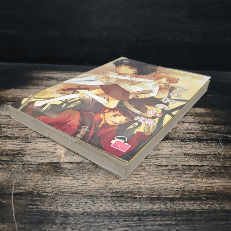 วุ่นนักทูตรักสื่อหัวใจ - ลูกชุบ