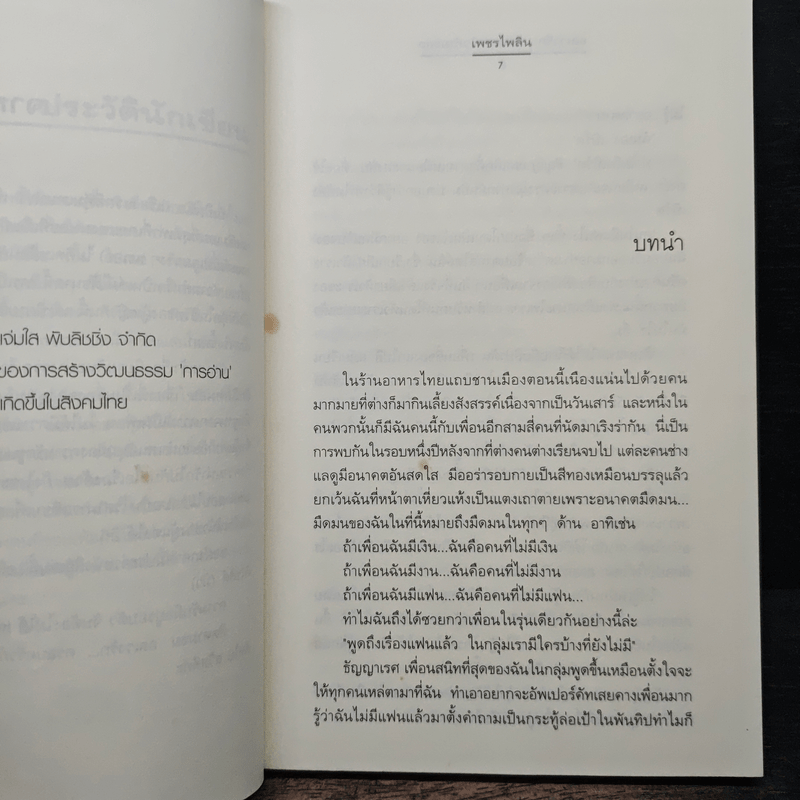 อลเวงรัก... ครอบครัวกำมะลอ - เพชรไพลิน