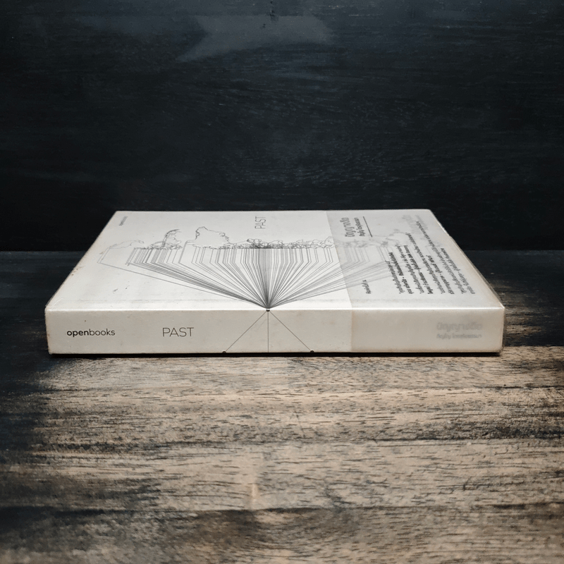 Past : ปัญญาอดีต - ภิญโญ ไตรสุริยธรรมา