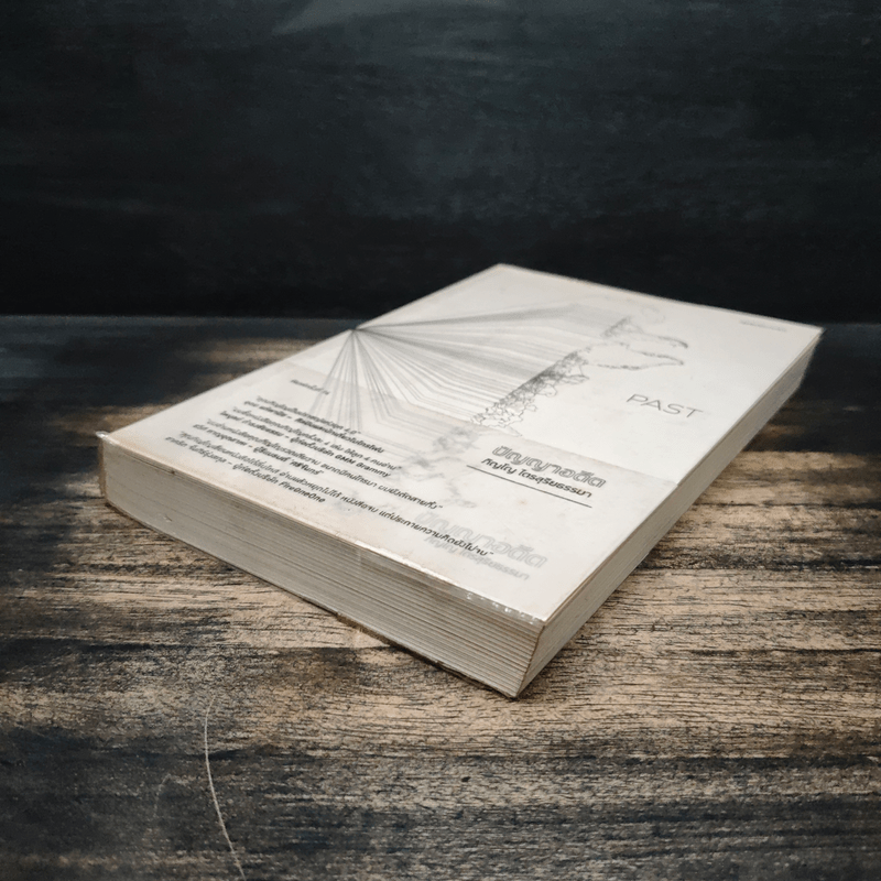 Past : ปัญญาอดีต - ภิญโญ ไตรสุริยธรรมา