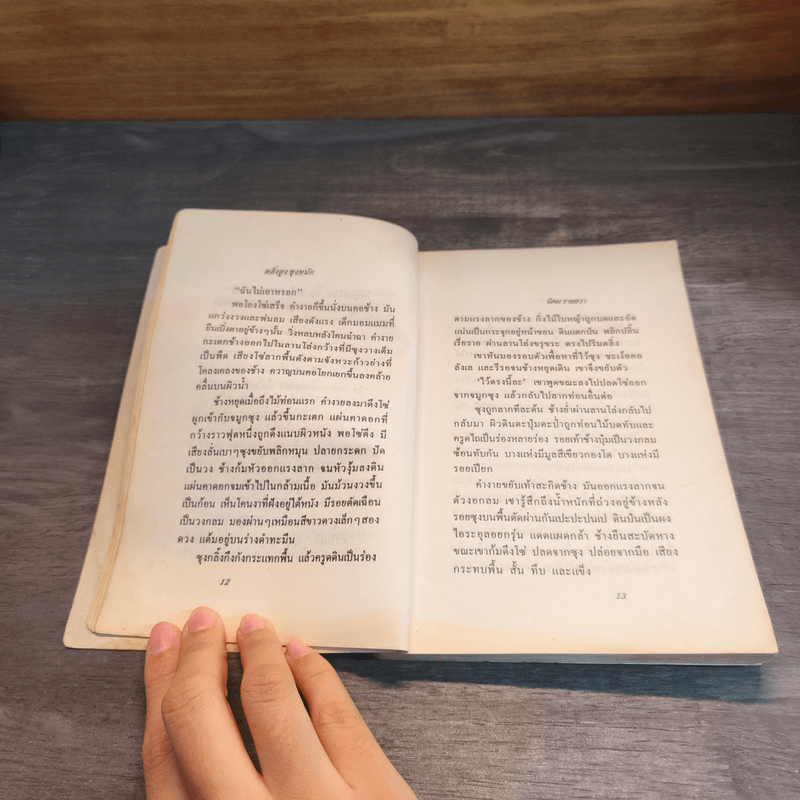 ตลิ่งสูง ซุงหนัก - นิคม รายยวา