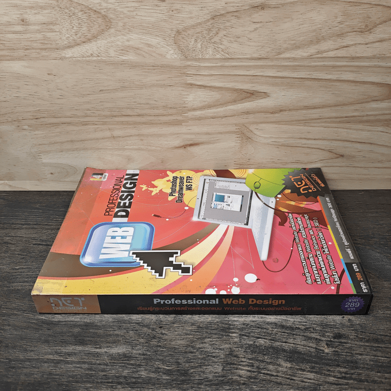 Professional Web Design