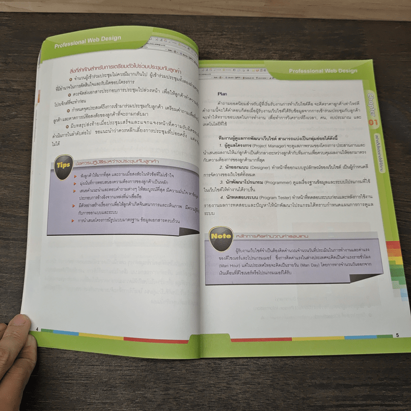 Professional Web Design