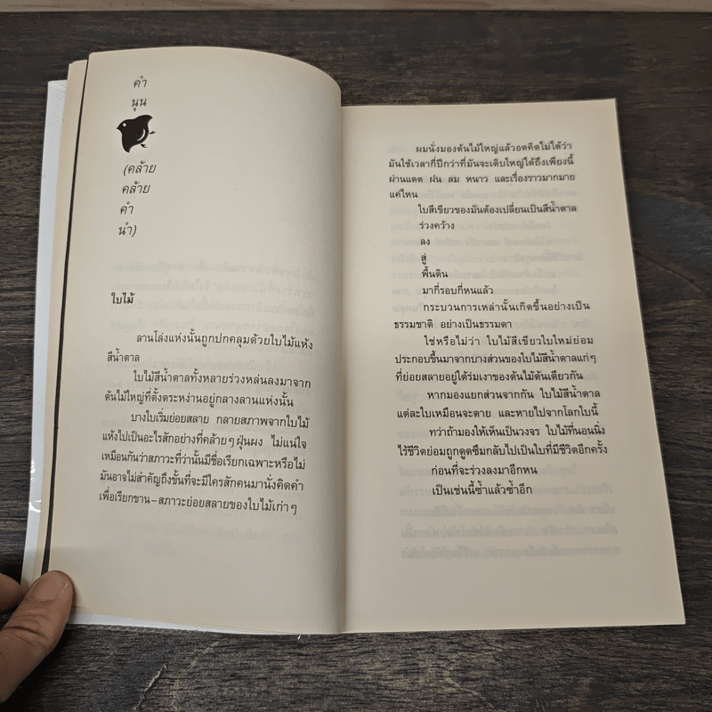 สิ่งที่ค้นพบระหว่างนั่งเฉยเฉย - นิ้วกลม