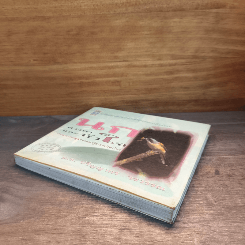 นก ดวงตา และหัวใจ - ม.ล.ปริญญากร วรวรรณ