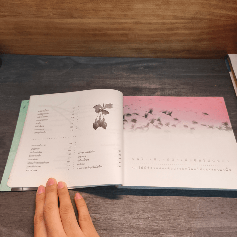 นก ดวงตา และหัวใจ - ม.ล.ปริญญากร วรวรรณ