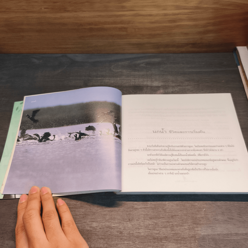 นก ดวงตา และหัวใจ - ม.ล.ปริญญากร วรวรรณ