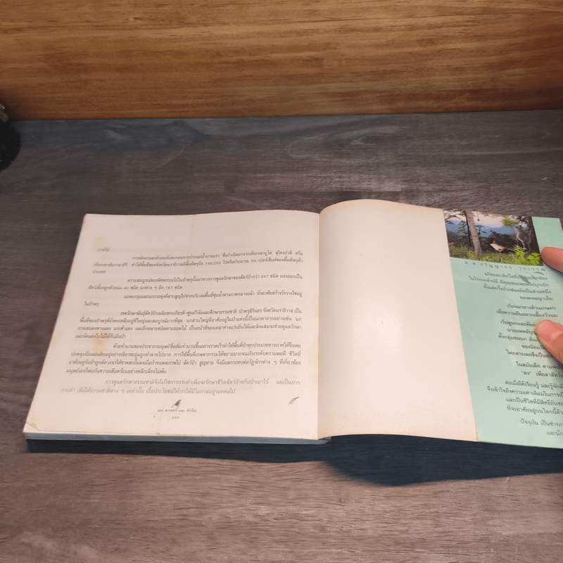 นก ดวงตา และหัวใจ - ม.ล.ปริญญากร วรวรรณ