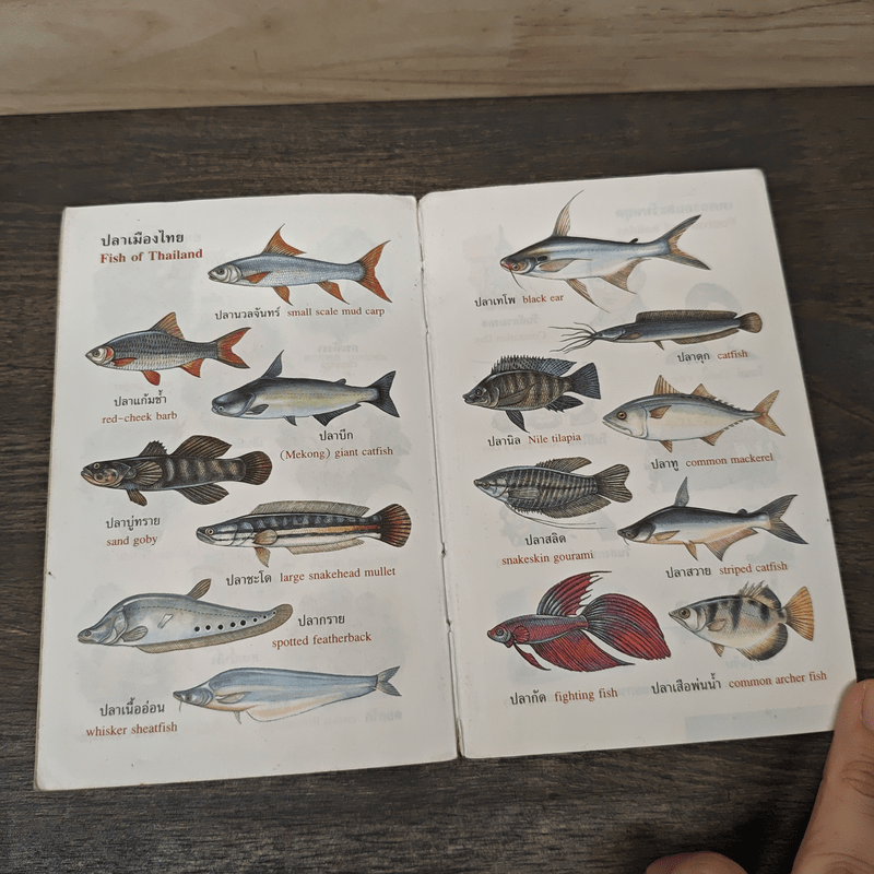 New Model English-Thai Thai-English Dictionary - สอ เสถบุตร