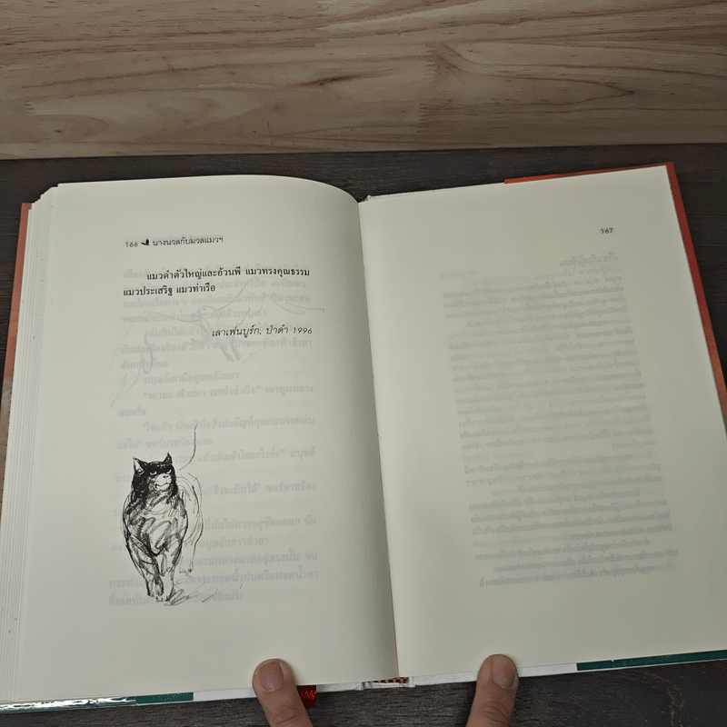 นางนวลกับนวลแมวผู้สอนให้นกบิน - หลุยส์ เซปุส์เบดา