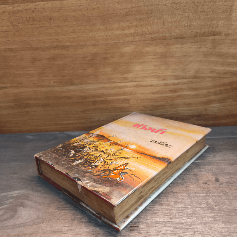 ช้างน้ำ เล่ม 1 - รมณียา