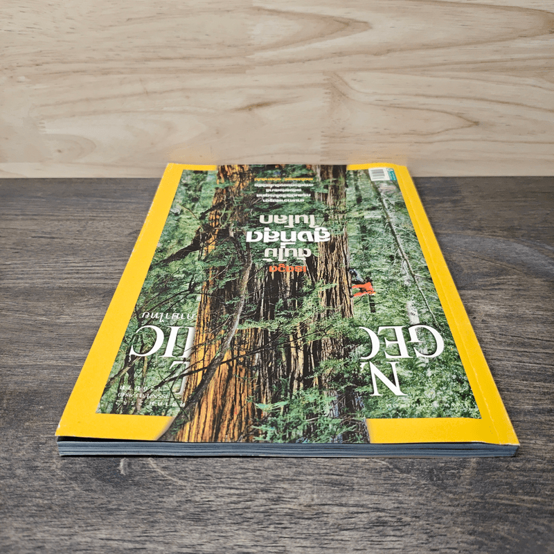 National Geographic ฉบับที่ 99 ต.ค. 2552 เรดวูด