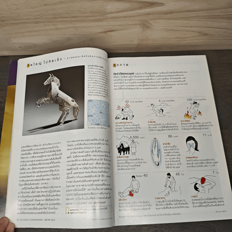 National Geographic ฉบับที่ 99 ต.ค. 2552 เรดวูด