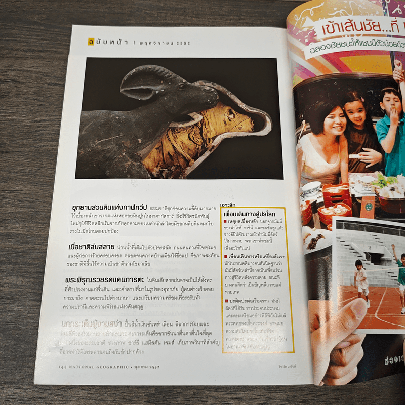National Geographic ฉบับที่ 99 ต.ค. 2552 เรดวูด
