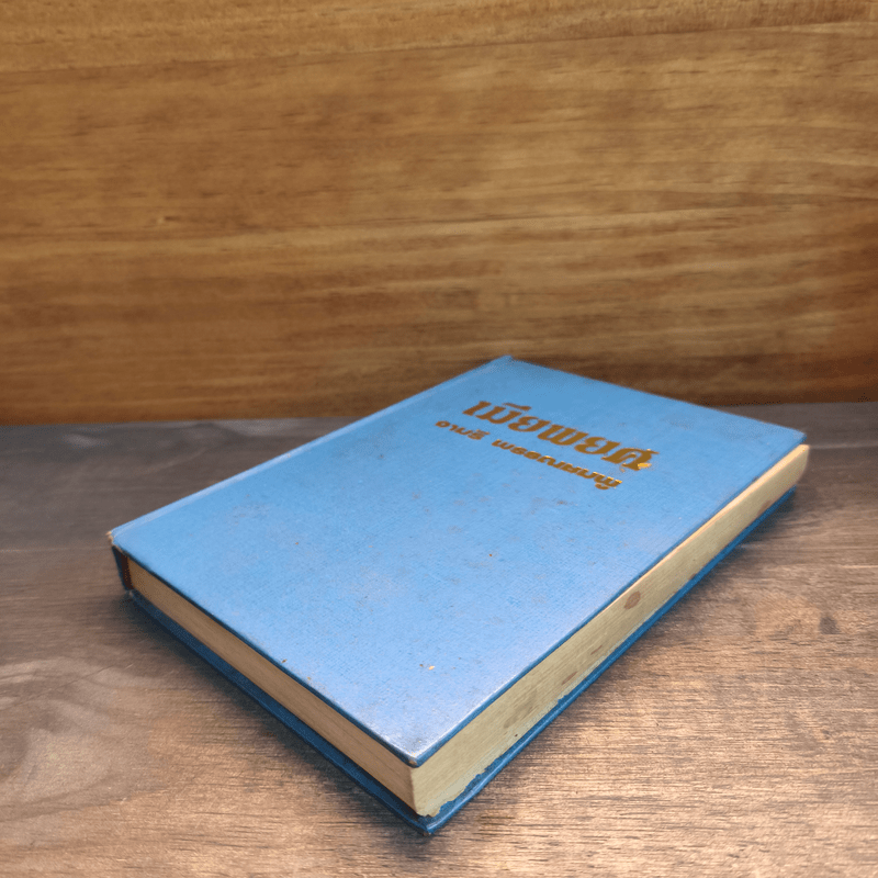 เมียพยศ - จามรี พรรณชมพู