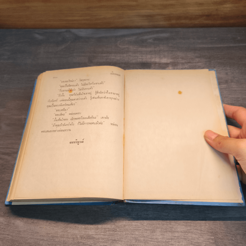 เมียพยศ - จามรี พรรณชมพู