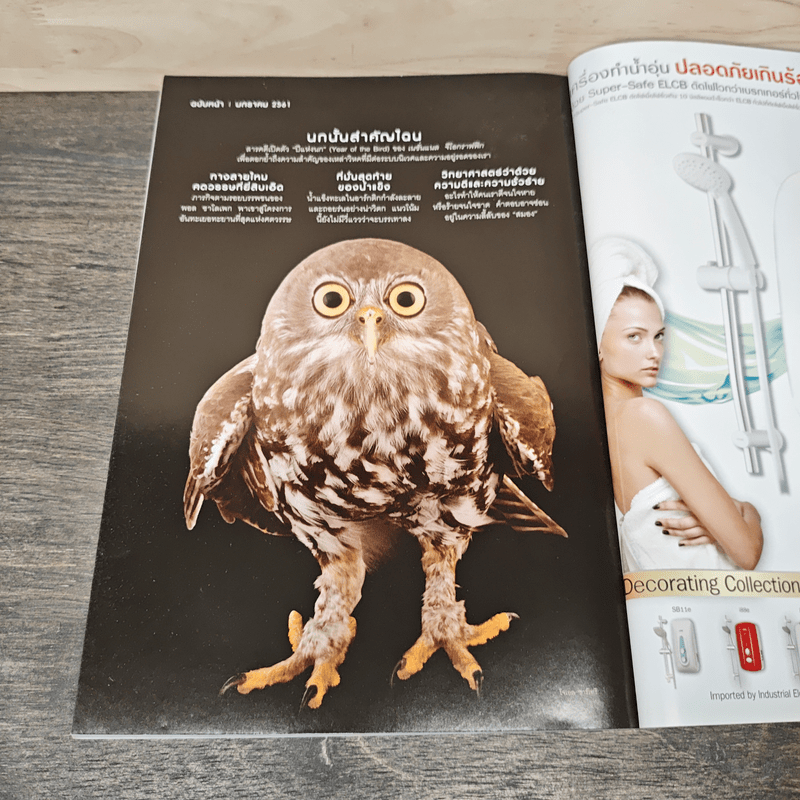 National Geographic ฉบับที่ 197 ธ.ค.2560