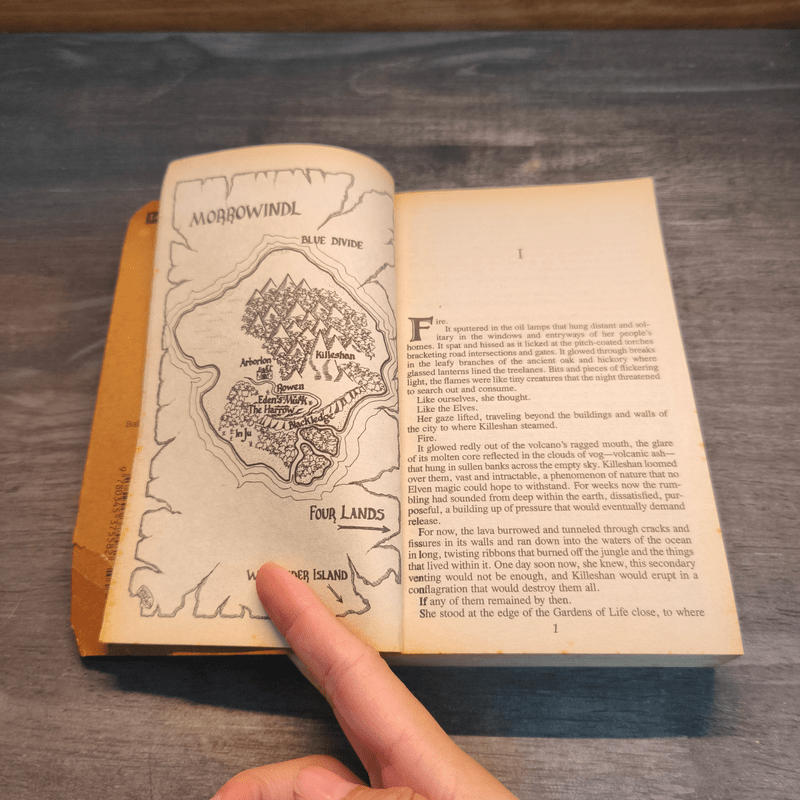 The Elf Queen of Shannara - Terry Brooks