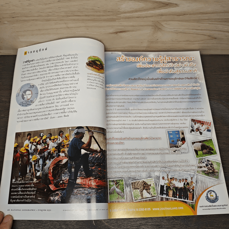 National Geographic ฉบับที่ 84 ก.ค. 2551