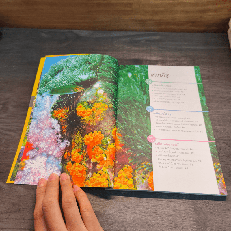 Top 10 สุดยอดความงามมหัศจรรย์เมืองไทย