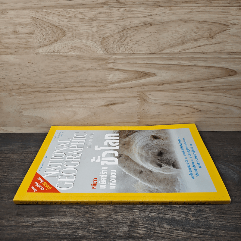 National Geographic ก.พ.2547 หมีขาว พยัคฆ์ร้ายแห่งแดนขั้วโลก