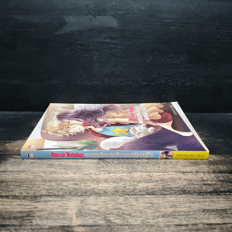 Sweet Training นายเพลย์บอยตัวร้ายเทรนหัวใจยัยคู่จิ้น