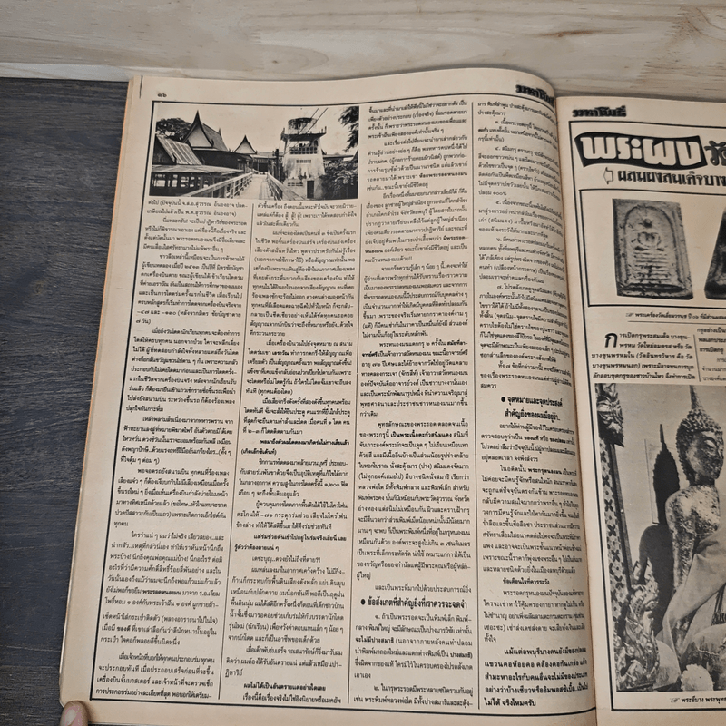 มหาโพธิ์ ฉบับที่ 281