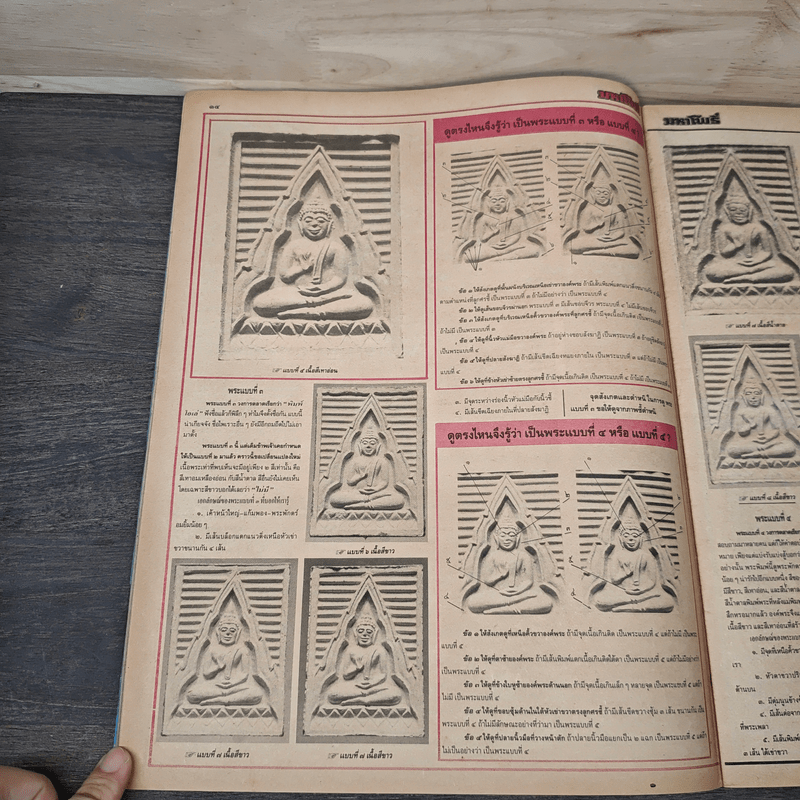 มหาโพธิ์ ฉบับที่ 282