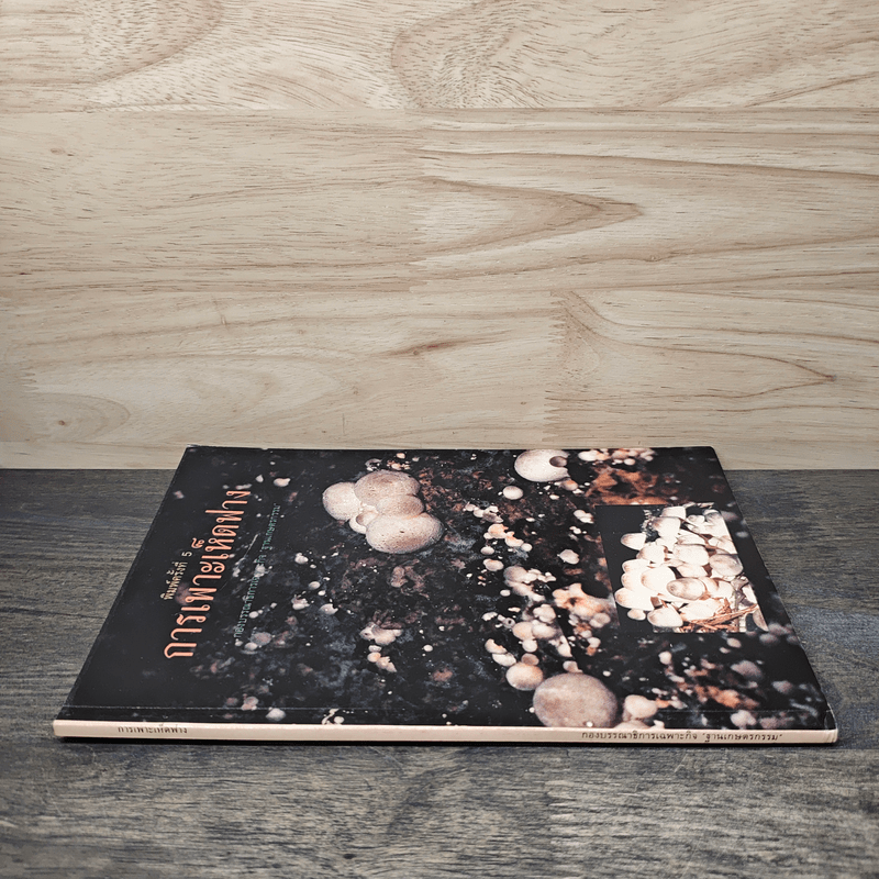 การเพาะเห็ดฟาง - กองบรรณาธิการเฉพาะกิจ ฐานเกษตรกรรม