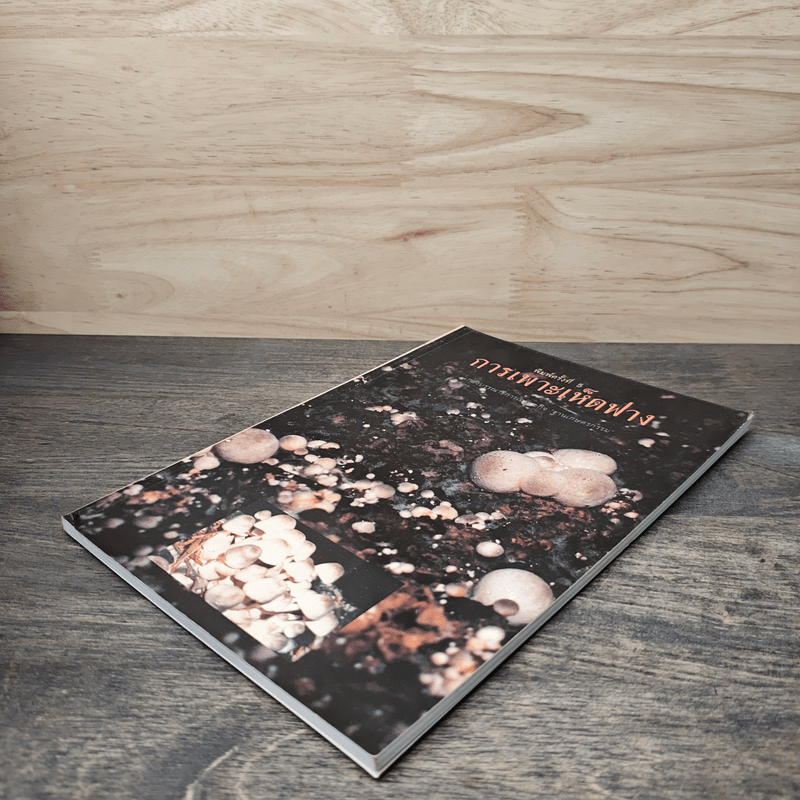 การเพาะเห็ดฟาง - กองบรรณาธิการเฉพาะกิจ ฐานเกษตรกรรม