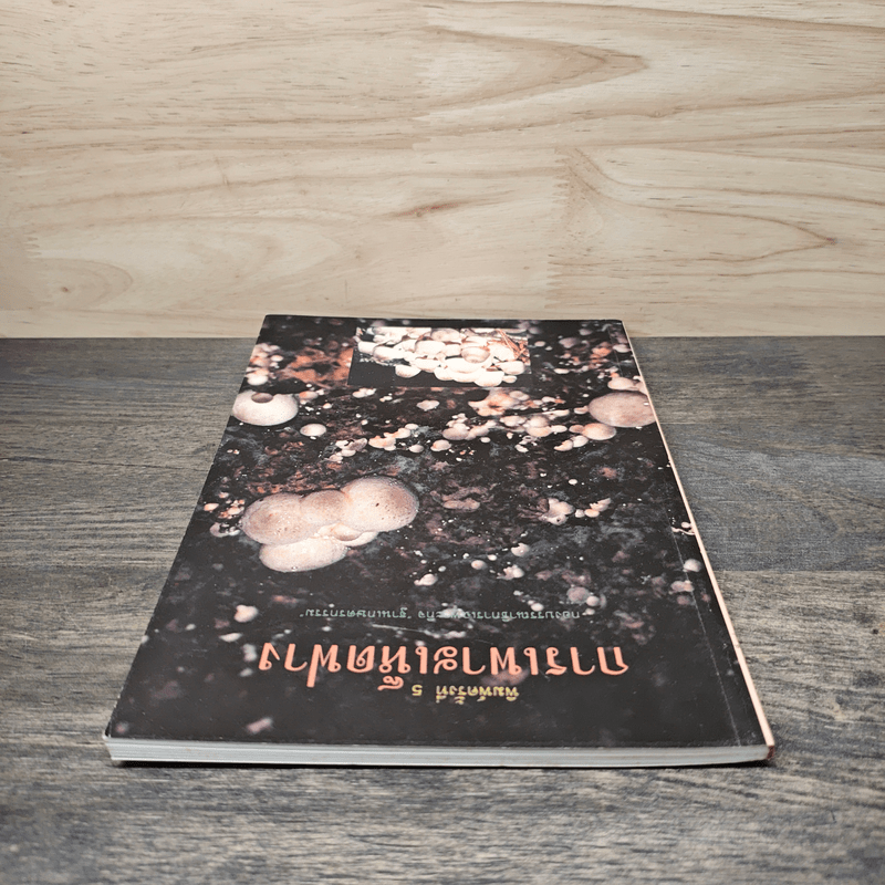 การเพาะเห็ดฟาง - กองบรรณาธิการเฉพาะกิจ ฐานเกษตรกรรม