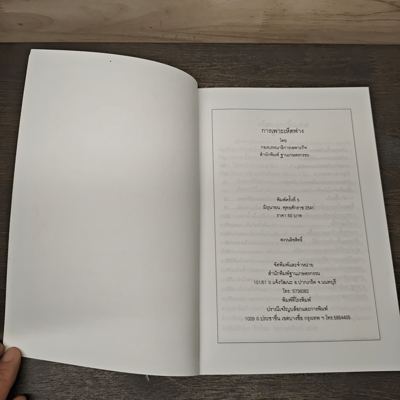 การเพาะเห็ดฟาง - กองบรรณาธิการเฉพาะกิจ ฐานเกษตรกรรม